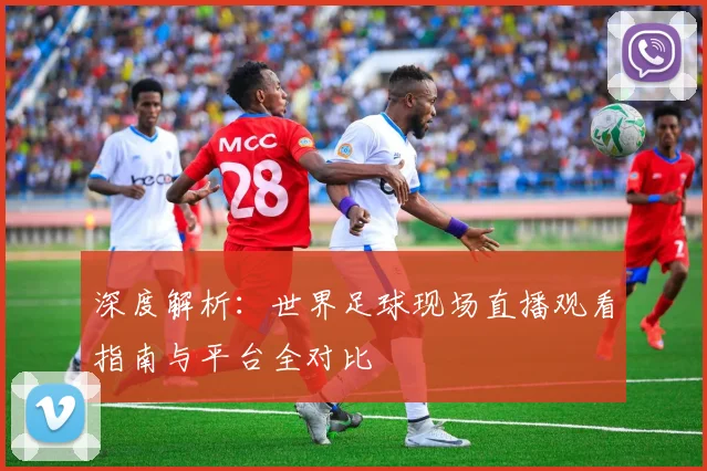 深度解析：世界足球现场直播观看指南与平台全对比